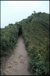 IMG_2540