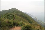 IMG_2542