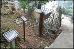 IMG_2619