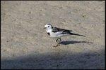 IMG_2783