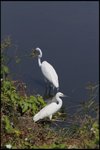 IMG_3089