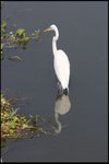 IMG_3100
