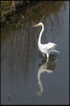 IMG_3114