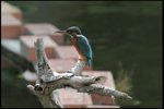IMG_3642