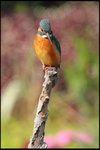 IMG_3686