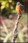 IMG_3753