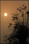 IMG_4095