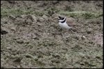 IMG_4162