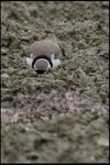 IMG_4166