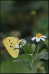 IMG_5697