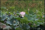 IMG_5725
