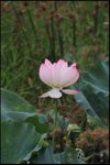IMG_5726