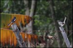 IMG_5771