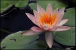 IMG_6144