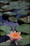 IMG_6147