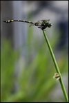 IMG_6198