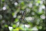 IMG_6242