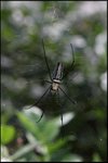 IMG_6243