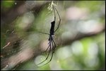 IMG_6248