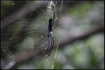 IMG_6249
