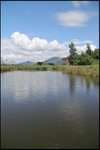 IMG_6341