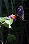 IMG_6388