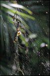 IMG_6404