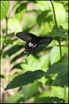 IMG_6470