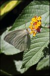IMG_6534