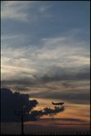 IMG_6639