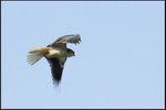 IMG_8116