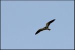 IMG_8131