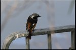 IMG_8298