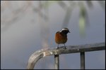 IMG_8305