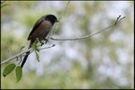 IMG_8381