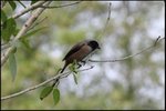 IMG_8384