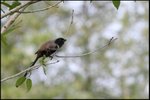 IMG_8386