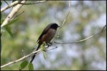 IMG_8392