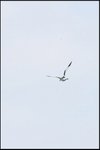 IMG_8395