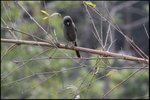 IMG_8435