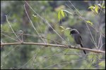 IMG_8437