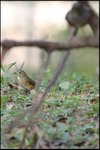 IMG_8796