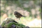 IMG_8833
