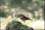 IMG_8835