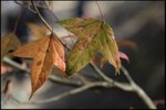 IMG_9389