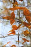 IMG_9397
