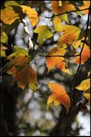 IMG_9409