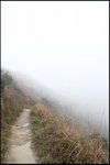 IMG_9750