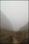IMG_9754