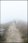 IMG_9758